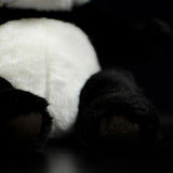 Nounours Panda