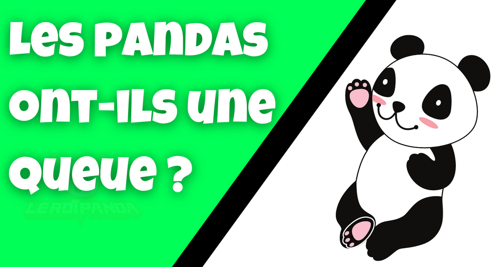 Les pandas ont-ils une queue ?