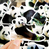 panda sticker geant