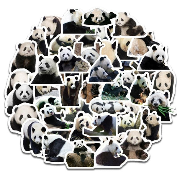 pack de stickers panda sauvage