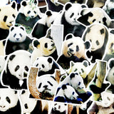 Pack de Stickers Panda