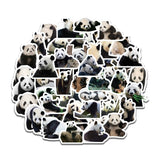 pack d'autocollants panda