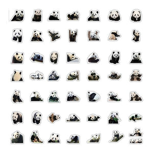 autocollants visages de panda