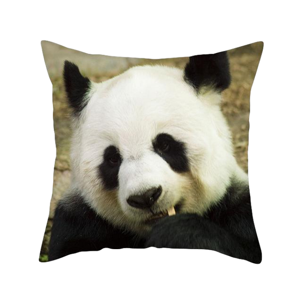 Coussin Panda pour Salon de Jardin