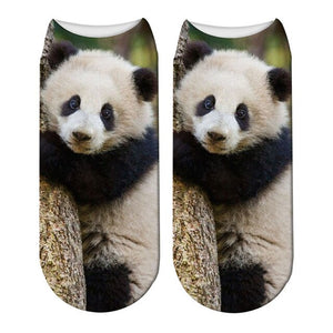 chaussettes courtes panda
