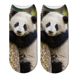 chaussettes courtes panda