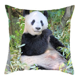 coussin panda carre salon de jardin