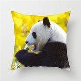 panda mangeur de bambou