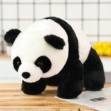 panda noir et blanc accroupi